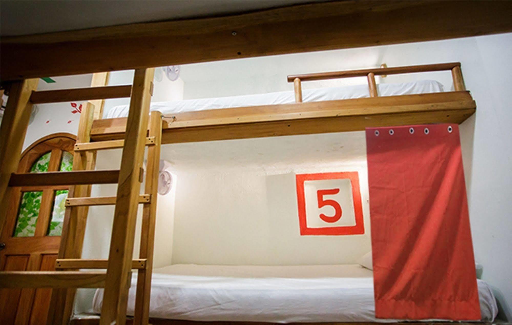 Hostel Natura Cancún Eksteriør bilde